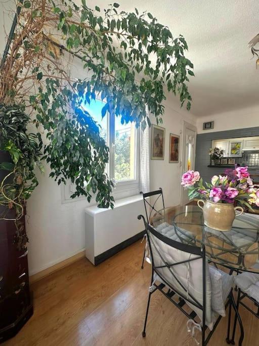 Casa Catala Apartment Canet-en-Roussillon